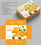 橙子包装 水果盒子