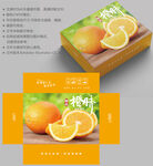 橙子包装 水果盒子
