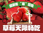 草莓无限畅吃