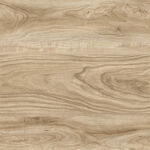 别墅 新木纹清晰图 TIF合层