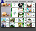 保险