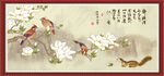 玉兰花