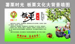 薯栗时光   板栗文化  板