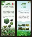 油茶种植合作社展架
