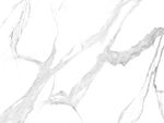 新传 质感新鱼肚白 TIF合层