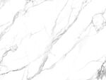 高清 质感新鱼肚白 TIF合层