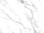新款 清晰鱼肚白画 TIf合层