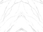 简奢 高清鱼肚白纹 TiF合层