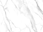 客厅 新传鱼肚白纹 TiF合层