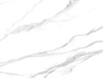 奢华 新传鱼肚白纹 TiF合层