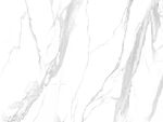 新传鱼肚白纹 TiF合层