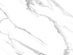 新传 高端鱼肚白纹 Tif合层