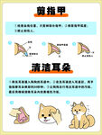 宠物洗护