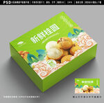 桂圆包装 龙眼礼盒设计