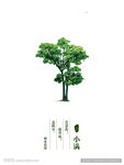 节气海报