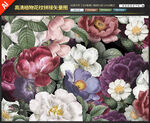 高清唯美植物花纹手绘矢量图
