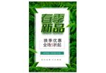 春季新品