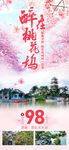 醉在桃花坞一日游旅游海报