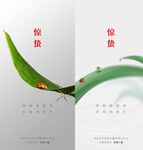 惊蛰海报 
