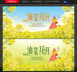油菜花