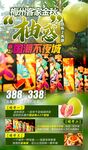 梅州柚子旅游
