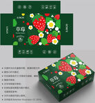 草莓包装 水果盒子