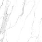 清晰 新传爵士白纹 TIF合层
