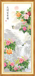 牡丹花