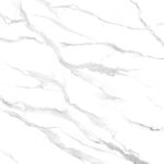 新传 白色石材纹理 TiF合层