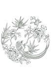 锦鸡海棠花