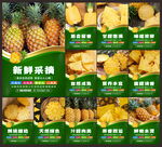 凤梨