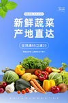 蔬菜