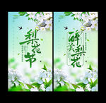 梨花节