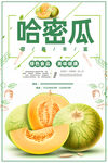 哈密瓜