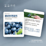 水果蓝莓介绍说明卡片