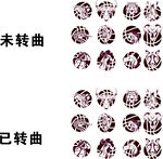 十二生肖