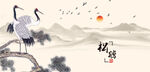 白鹤仙鹤