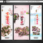 海棠花