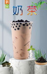 奶茶  
