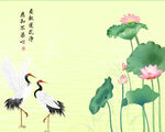 荷花 仙鹤 