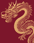 金龙插画图