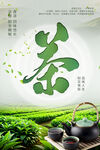 春茶图片