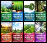 林业局宣传海报