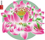 莲花矢量图