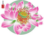 莲花矢量图 