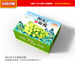 葡萄包装 阳光玫瑰礼盒