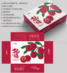杨梅包装 水果盒子