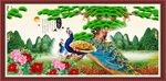  孔雀图