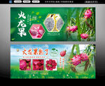 火龙果