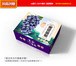 葡萄包装 巨峰礼盒